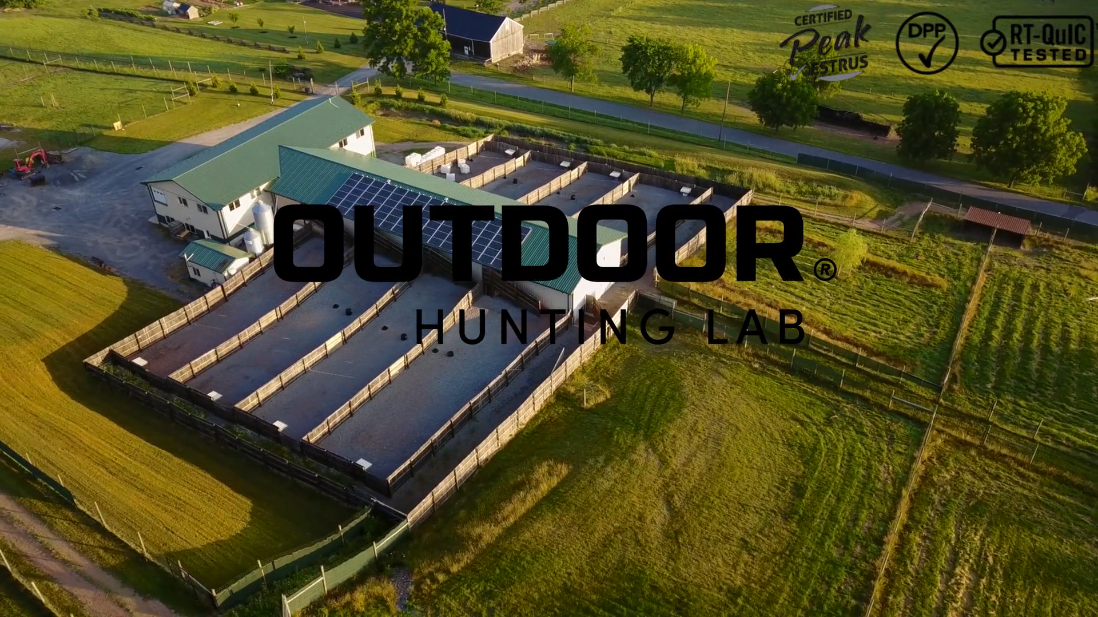 Load video: Outdoor Hunting Lab Video